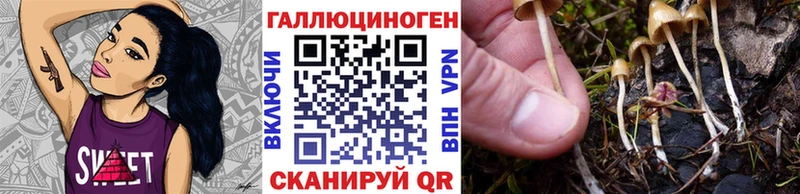 Купить  Сосновоборск  Псилоцибиновые грибы мухоморы 